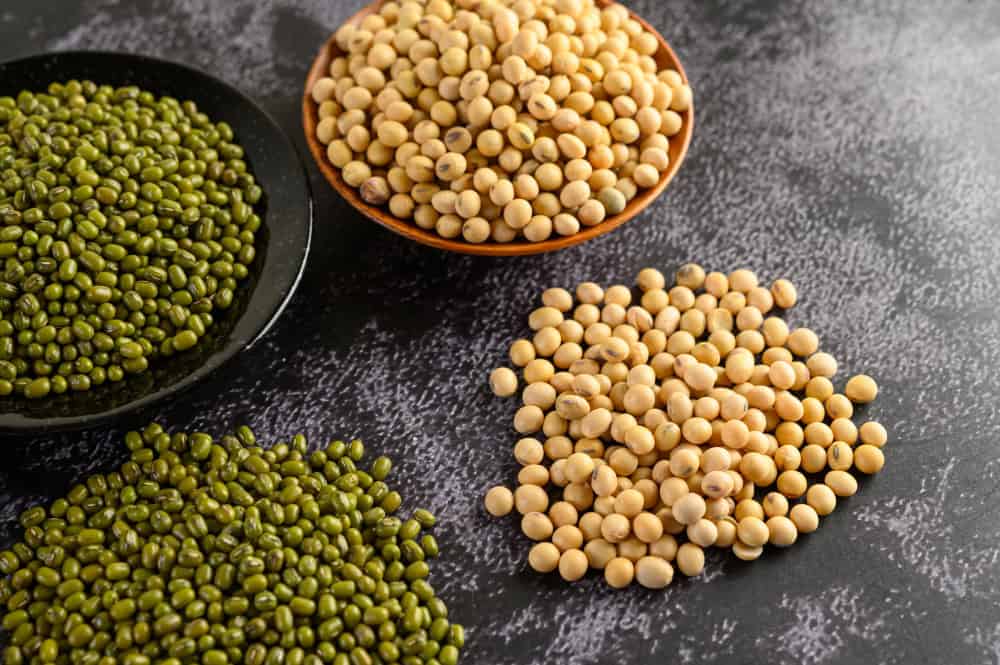 10 Iron-Rich Foods to Eat During Pregnancy
