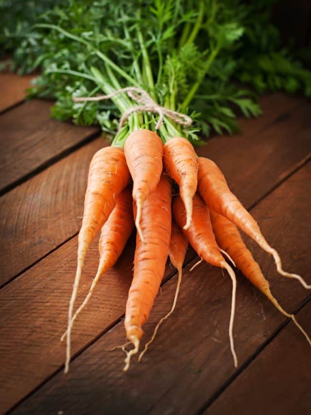 Why Carrots are the ultimate winter superfood you need daily? Why Carrots are the ultimate winter superfood you need daily?