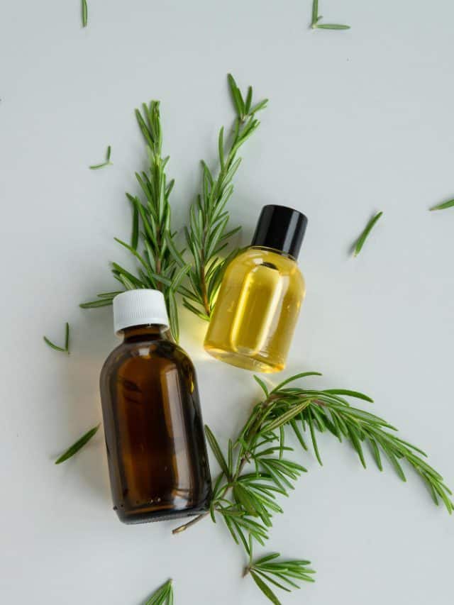 Rosemary vs. onion oil: Which is better for hair growth?