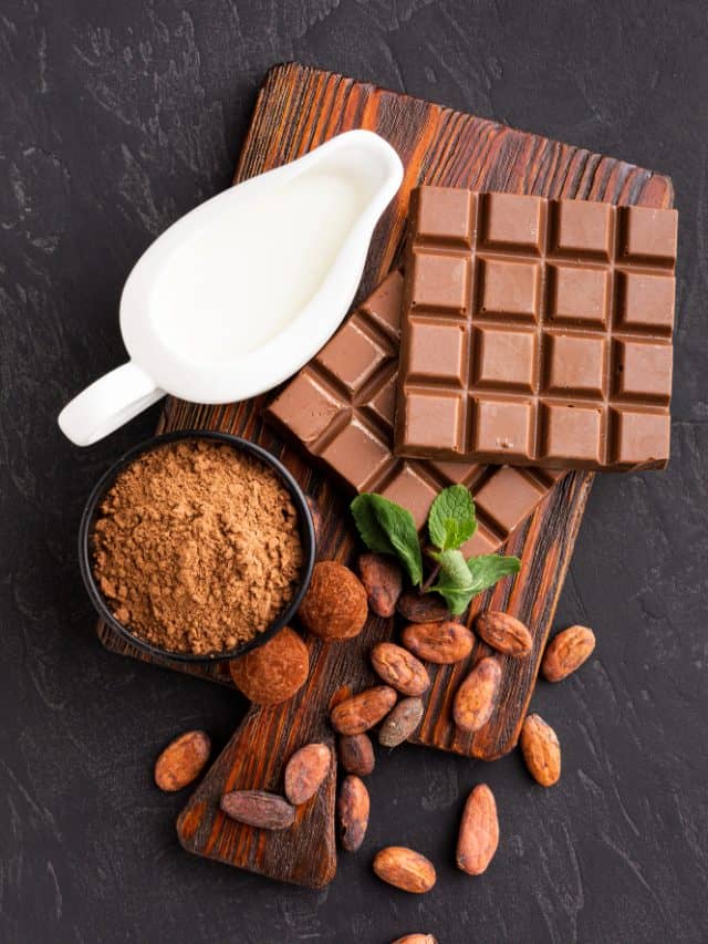 Chocolate could be the next probiotic powerhouse