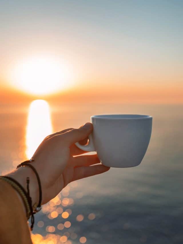 यूरिक एसिड करना है कम? सुबह-सुबह पिएं ये 5 ड्रिंक्स यूरिक एसिड करना है कम? सुबह-सुबह पिएं ये 5 ड्रिंक्स