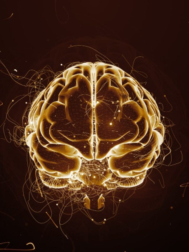5 proven ways omega-3 helps improve memory
