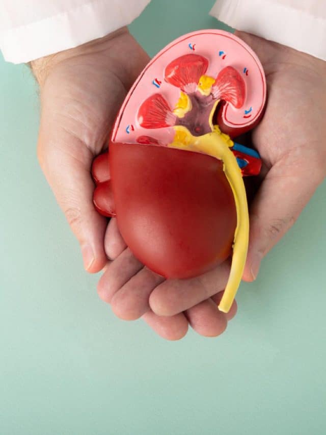 Over 40? Here’s why kidney cancer screening is a must Over 40? Here’s why kidney cancer screening is a must
