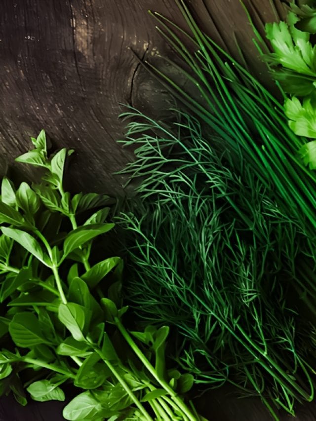 6 herbs for asthma relief