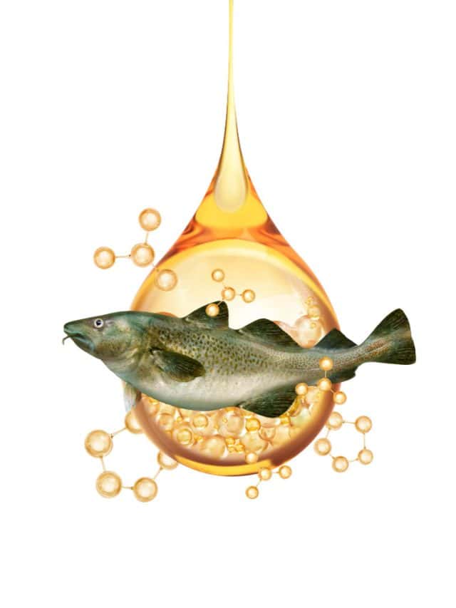 Omega-3 vs fish oil: How to choose the right one? Omega-3 vs fish oil: How to choose the right one?