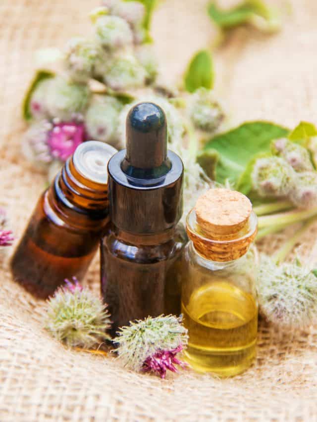 Best essential oils to relieve uric acid pain Best essential oils to relieve uric acid pain