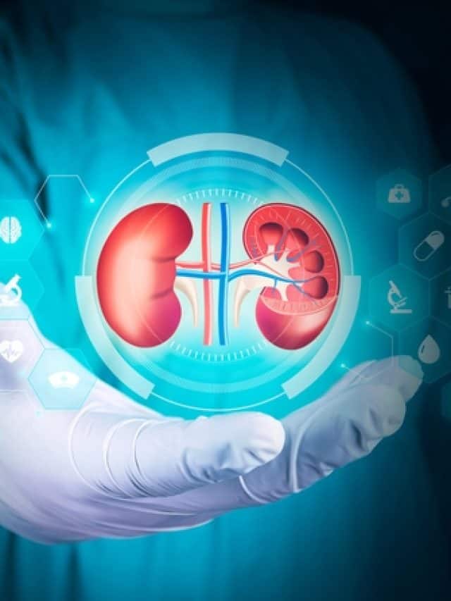 Support kidney function daily with these natural foods Support kidney function daily with these natural foods
