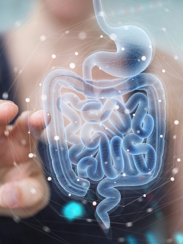 Take care of your gut: 5 natural ways to support digestion Take care of your gut: 5 natural ways to support digestion