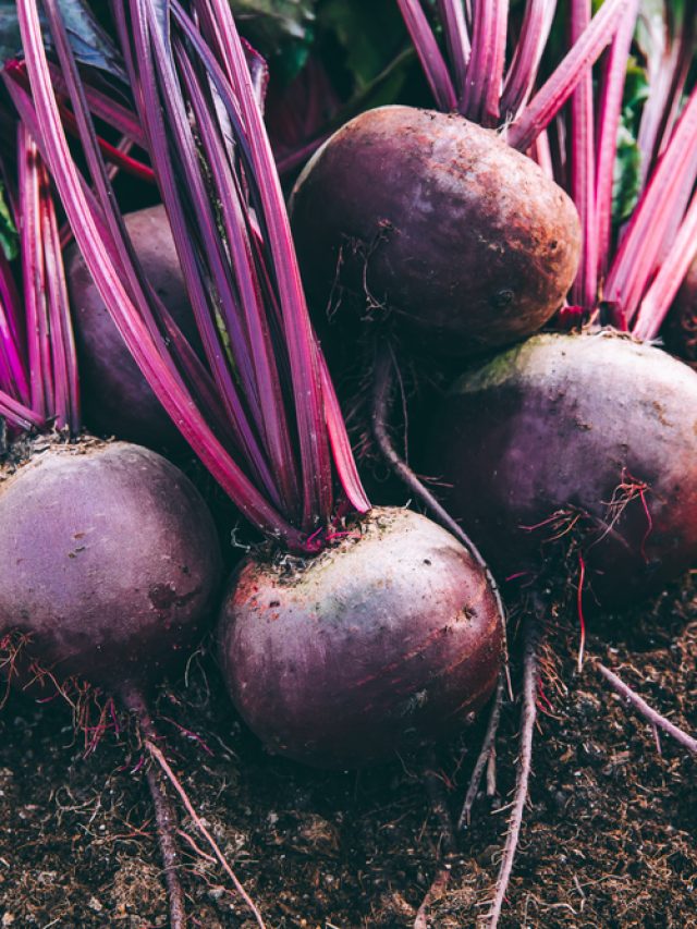 How to include beetroot in your summer meals for better health? How to include beetroot in your summer meals for better health?