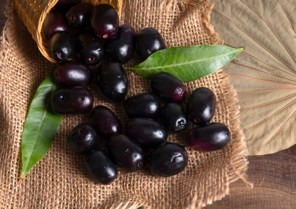 Jambul,Or,Jamun,(syzygium,Cumini),Isolated,On,Wooden,Background