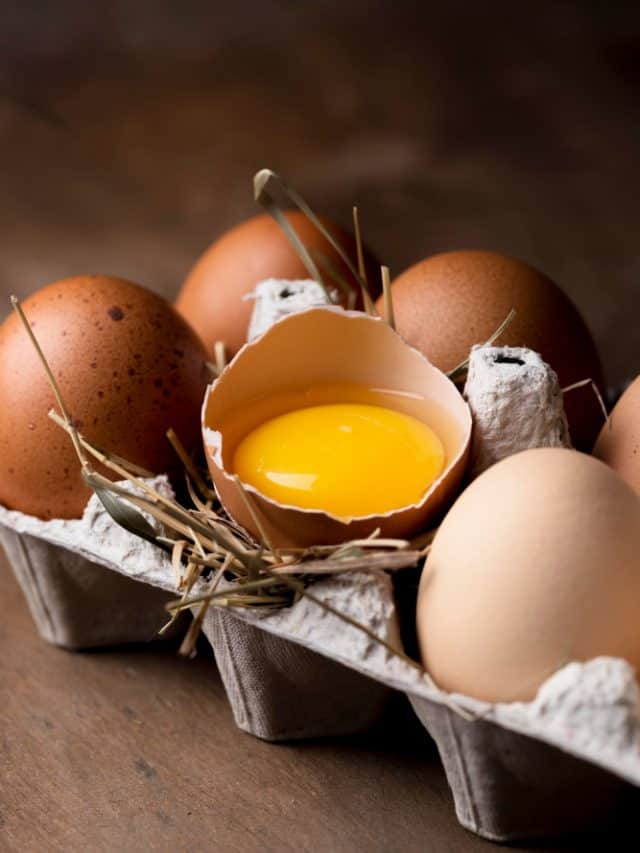 6 types of legumes that contain more protein than an egg 6 types of legumes that contain more protein than an egg