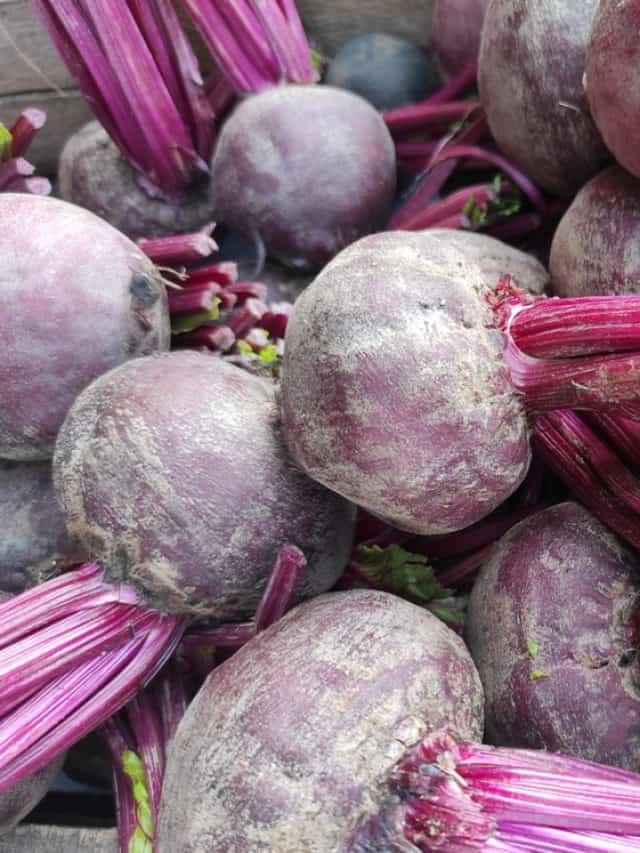 The gut-healing magic of beetroot revealed
