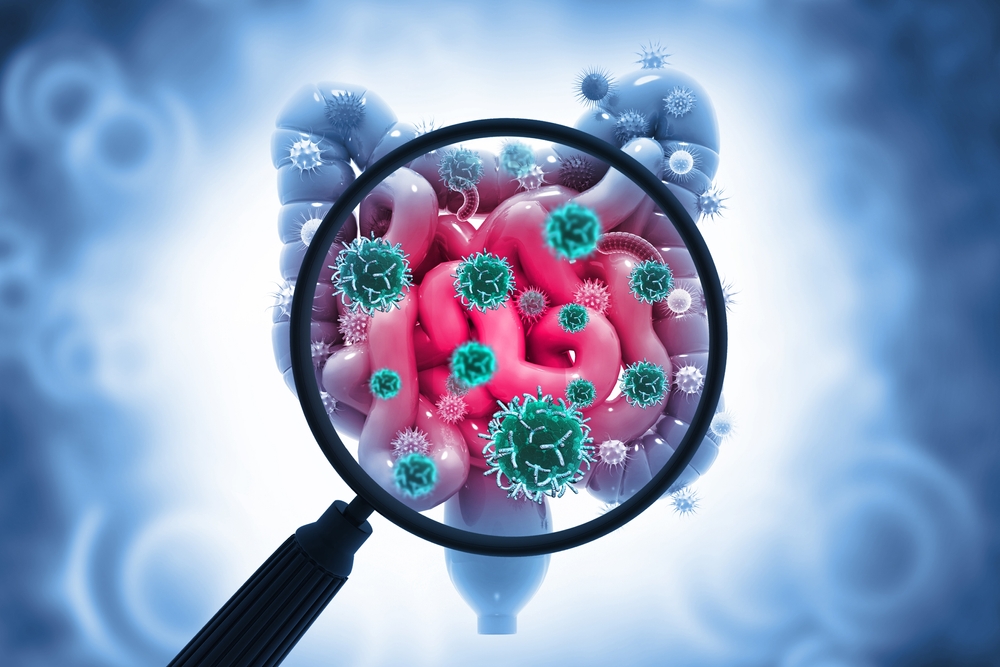 Gut health