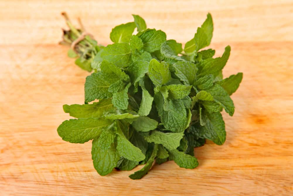 mint 
