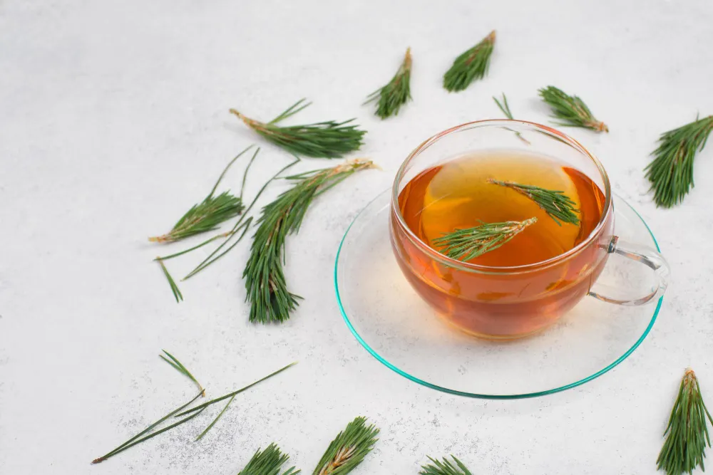 Rinse with Rosemary Tea