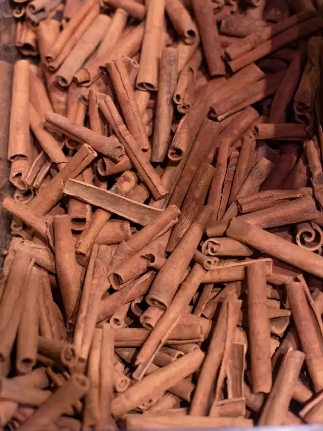 The ‘bitter’ truth: Are there any side effects of too much cinnamon? The ‘bitter’ truth: Are there any side effects of too much cinnamon?