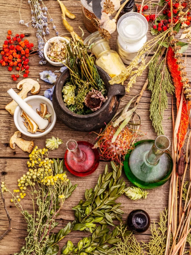 लिवर को स्वस्थ रखने के लिए डाइट में शामिल करें ये 5 हर्ब्स लिवर को स्वस्थ रखने के लिए डाइट में शामिल करें ये 5 हर्ब्स
