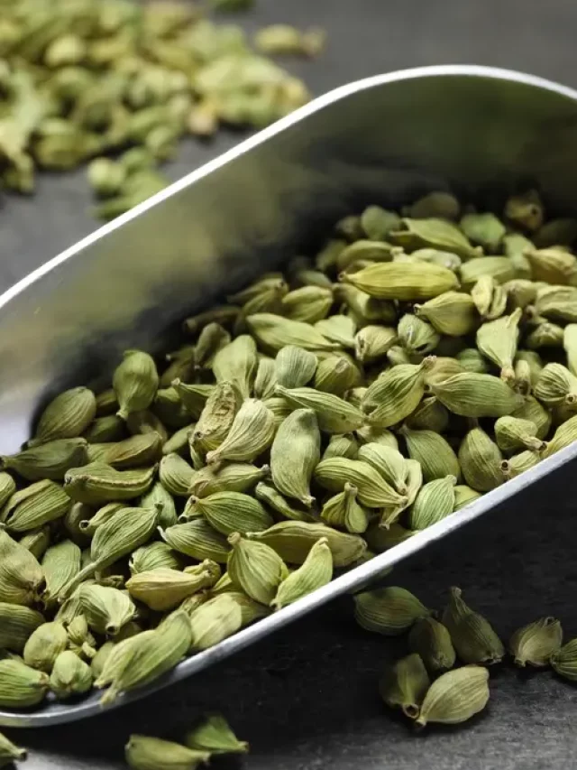 What happens when you chew cardamom (elaichi) everyday?