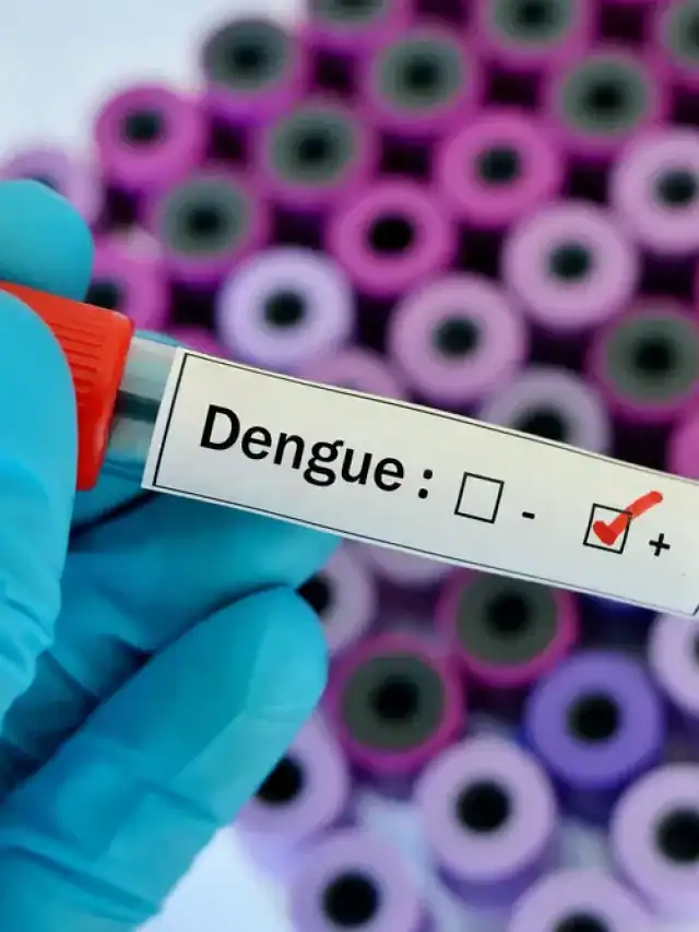 Monsoon safety: Tips to protect yourself from dengue Monsoon safety: Tips to protect yourself from dengue