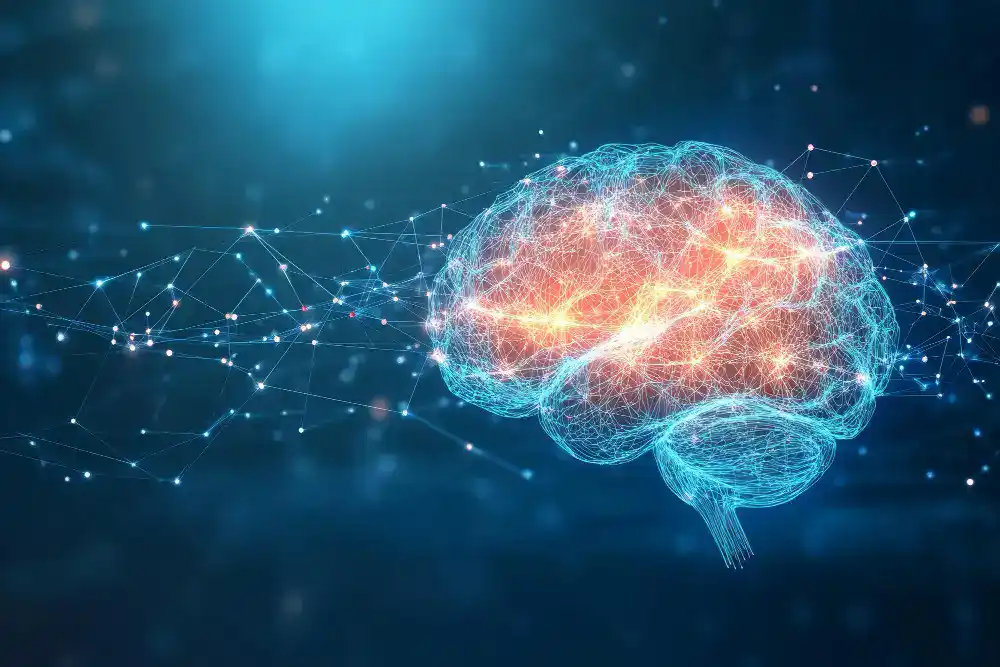 gut brain