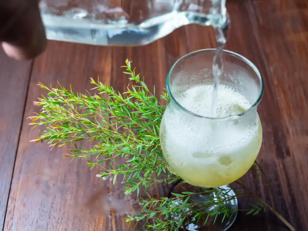 rosemary water rinse