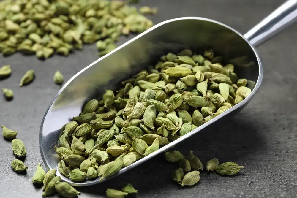 cardamom