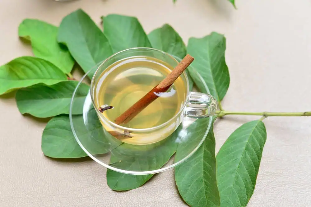 Guava leaf tea: A herbal tonic for Ladies' Health - Tata 1mg Capsules