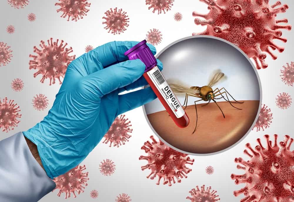 Dengue