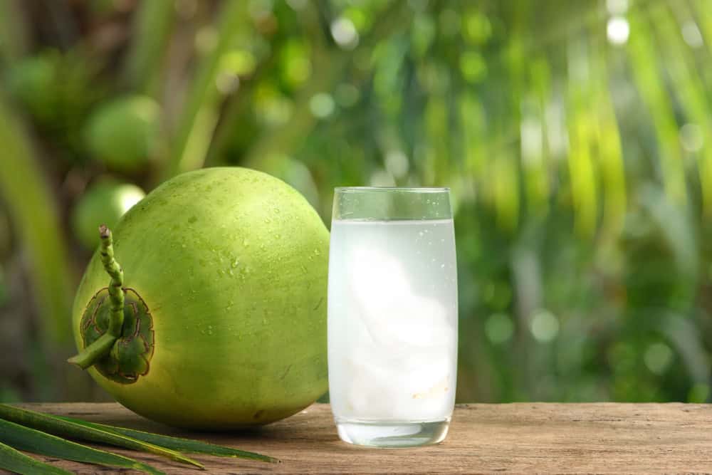 coconut water