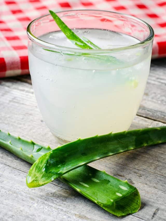 Aloe you very much: Top health benefits of drinking aloe vera juice