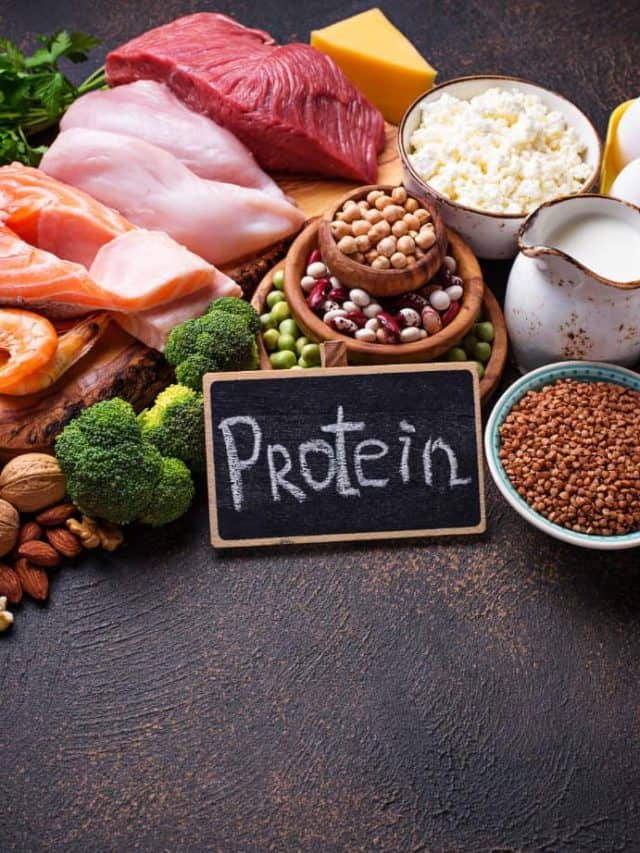 Lose fat and not muscles with these 5 most loved protein options