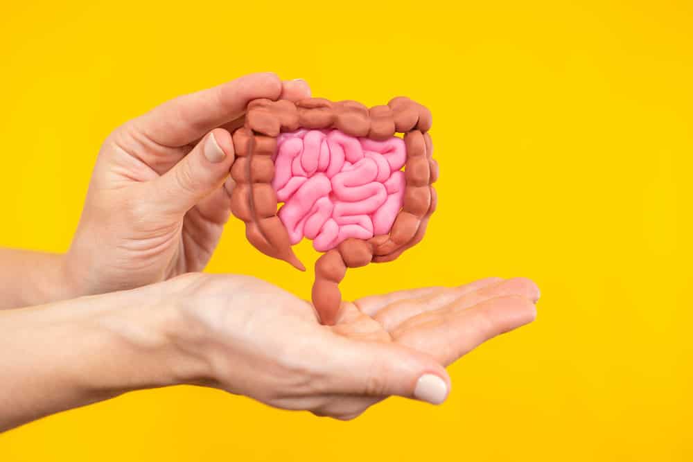 Gut Health