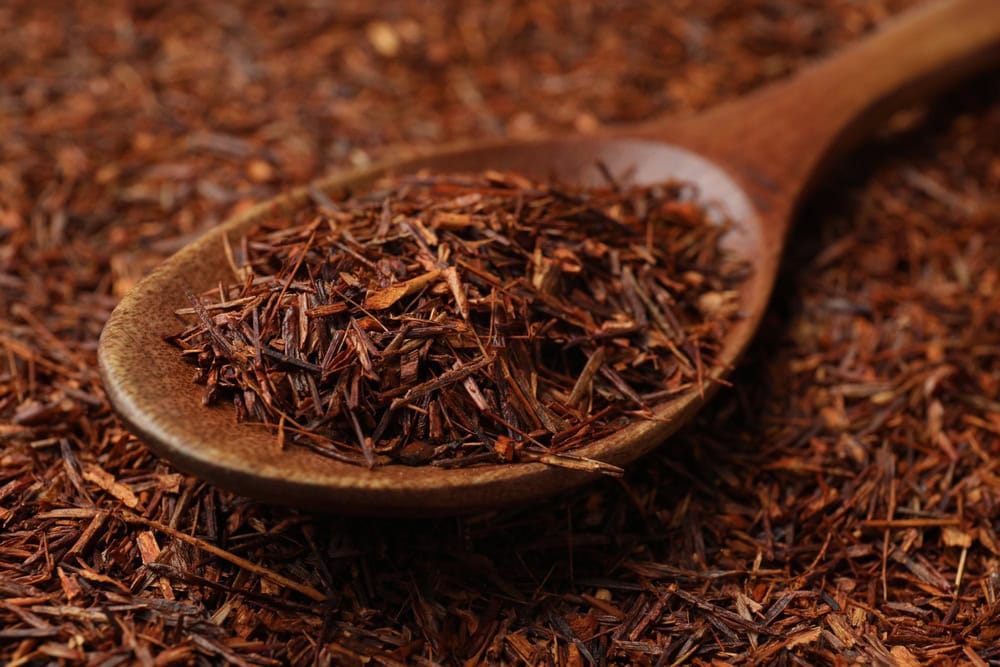 rooibos tea