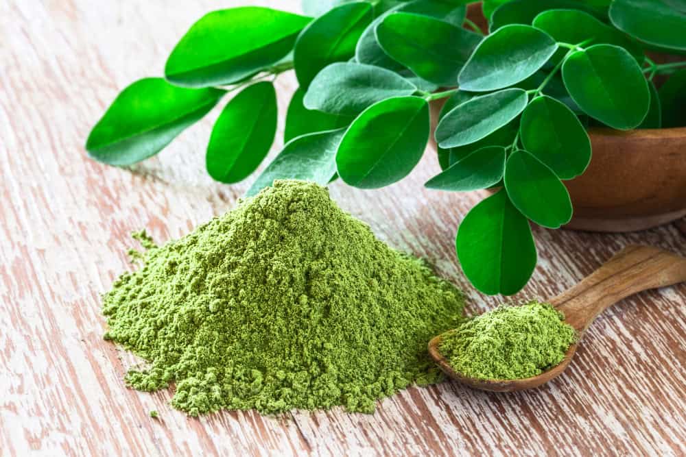 Moringa powder