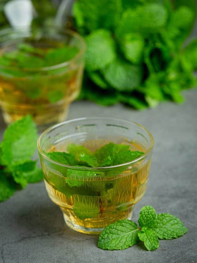 तुलसी वॉटर के साथ शरीर को रखें बीमारियों से दूर