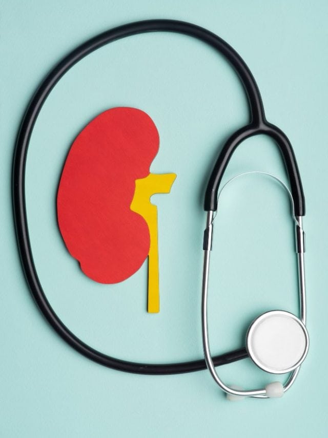 5 everyday habits that quietly damage your kidneys 5 everyday habits that quietly damage your kidneys