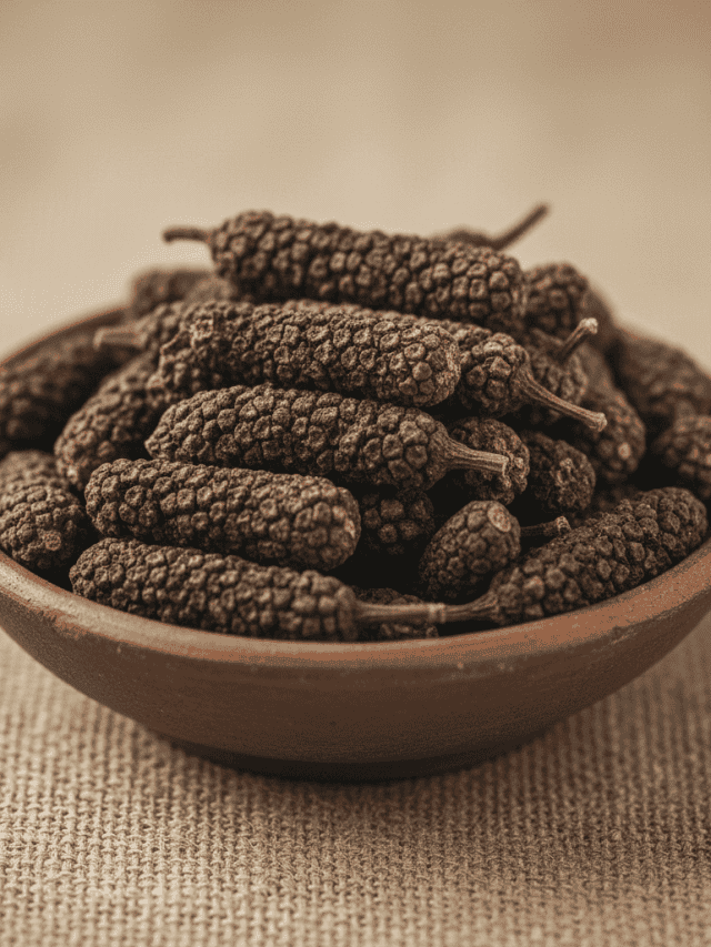 Pippali: The tiny spice with big health benefits Pippali: The tiny spice with big health benefits