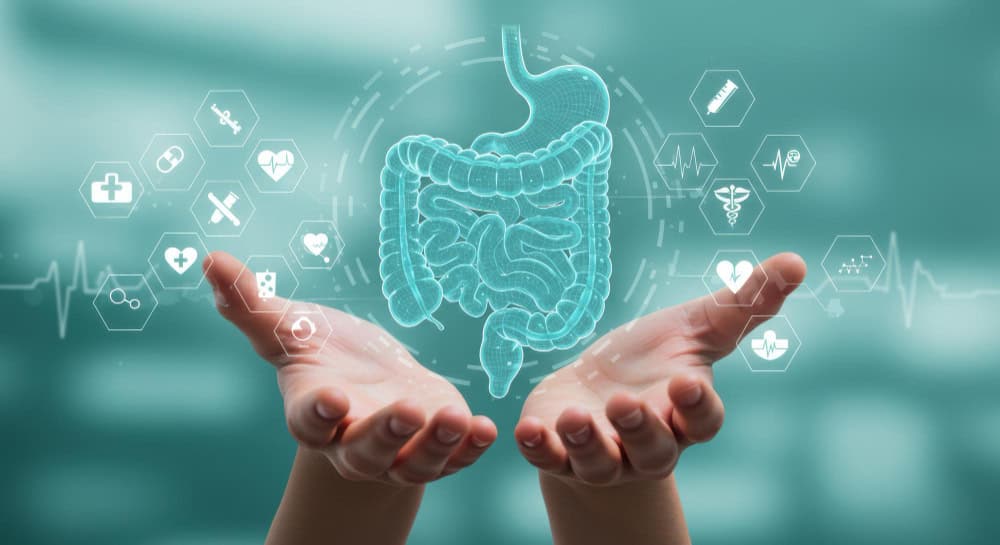 digestion, gut health
