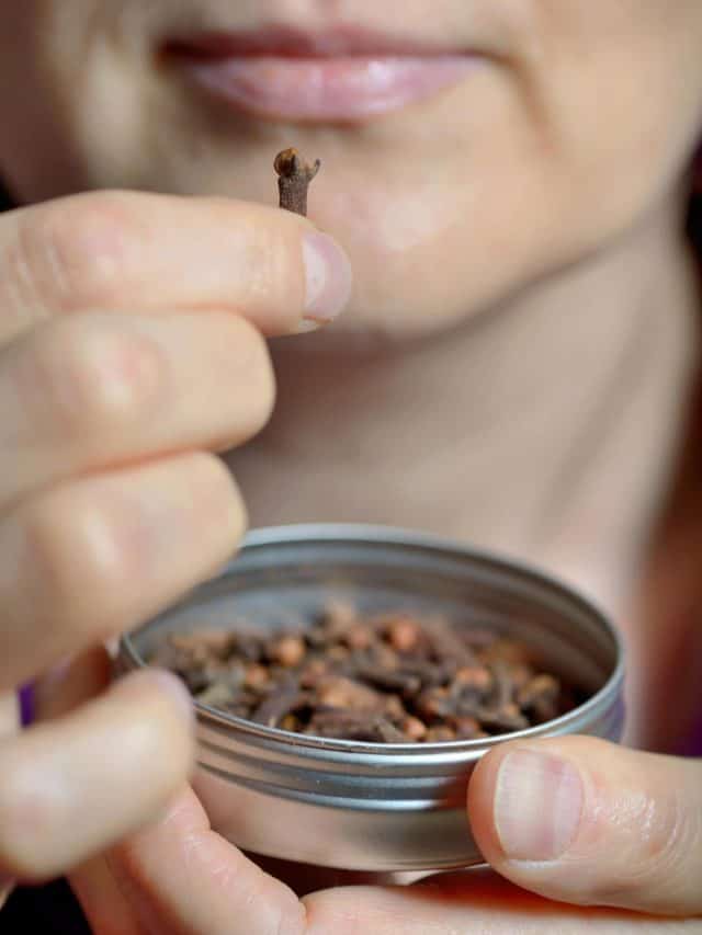 A pinch of clove, a punch of wellness