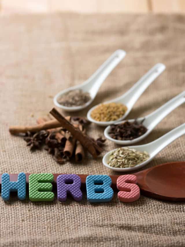 Winter herbs that naturally detox and heal your gut