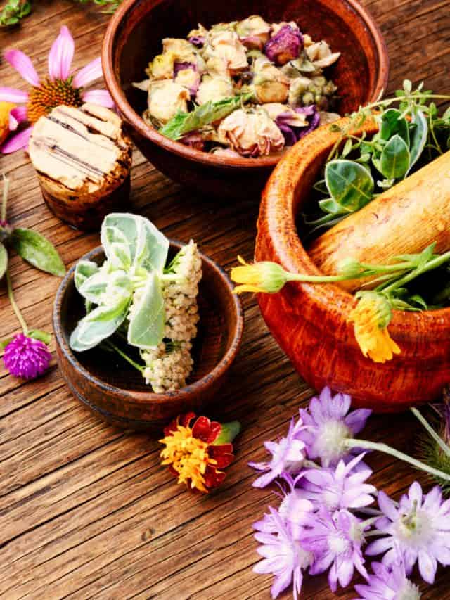 5 Ayurvedic herbs that may support reproductive health naturally 5 Ayurvedic herbs that may support reproductive health naturally