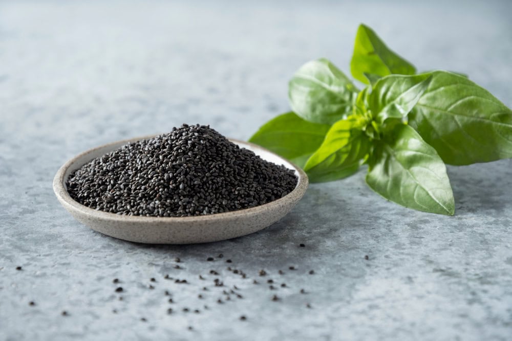 basil seeds, sabja, Seeds for energy and weight loss in hindi