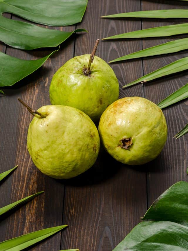 अमरूद को भारत की ब्लूबेरी क्यों कहा जाता है? आइए जानें: