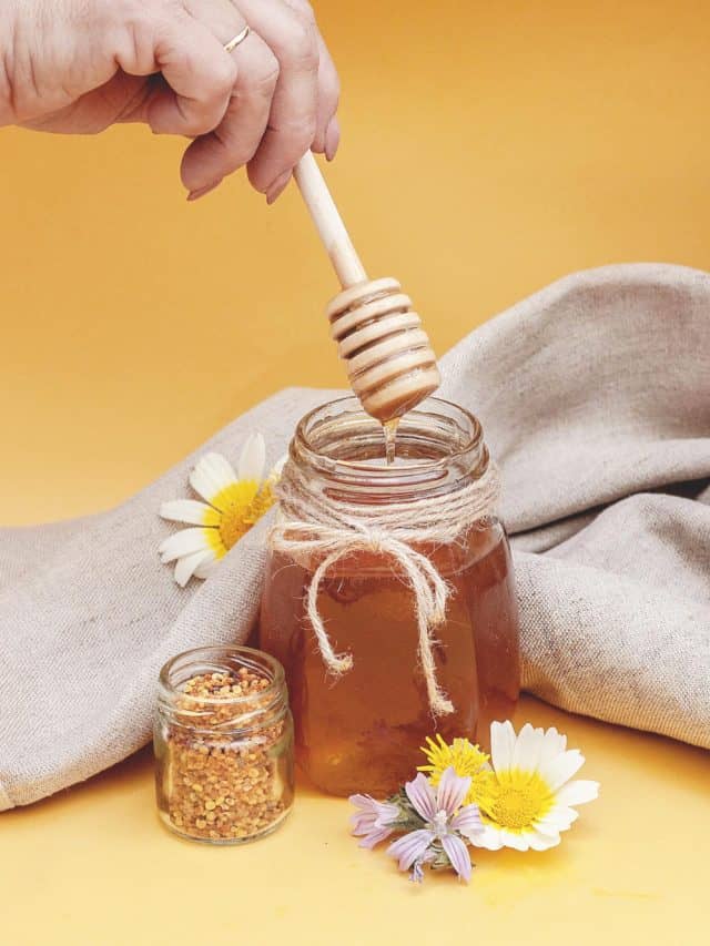 शहद: सर्दियों में स्किनकेयर के लिए परफेक्ट नेचुरल प्रोडक्ट शहद: सर्दियों में स्किनकेयर के लिए परफेक्ट नेचुरल प्रोडक्ट