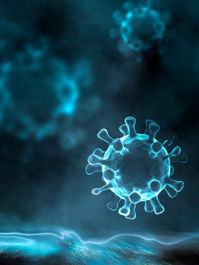 What happens when Nipah virus gets inside your body