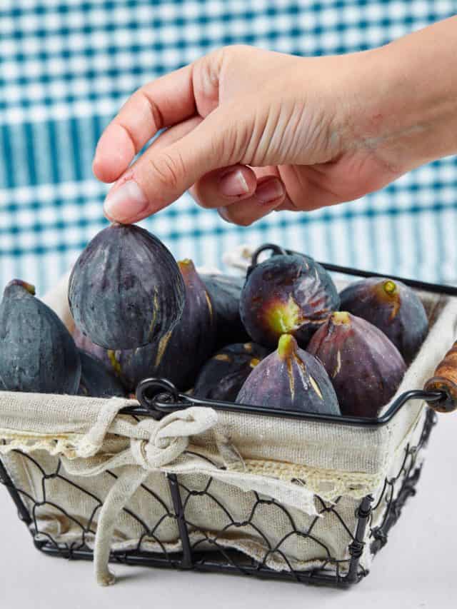 (Fig)uring Out why Anjeer Is so good for you health