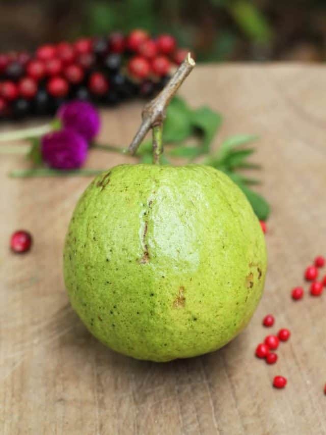 Why is guava India’s blueberry? Read to know more