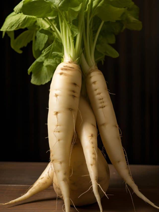 साधारण सी मूली आपको पहुँचाती है कई अद्भुत फायदे