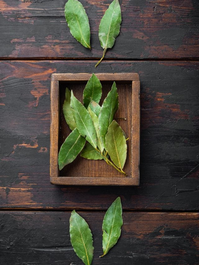The Green Guardian: how curry leaves aid heart health?