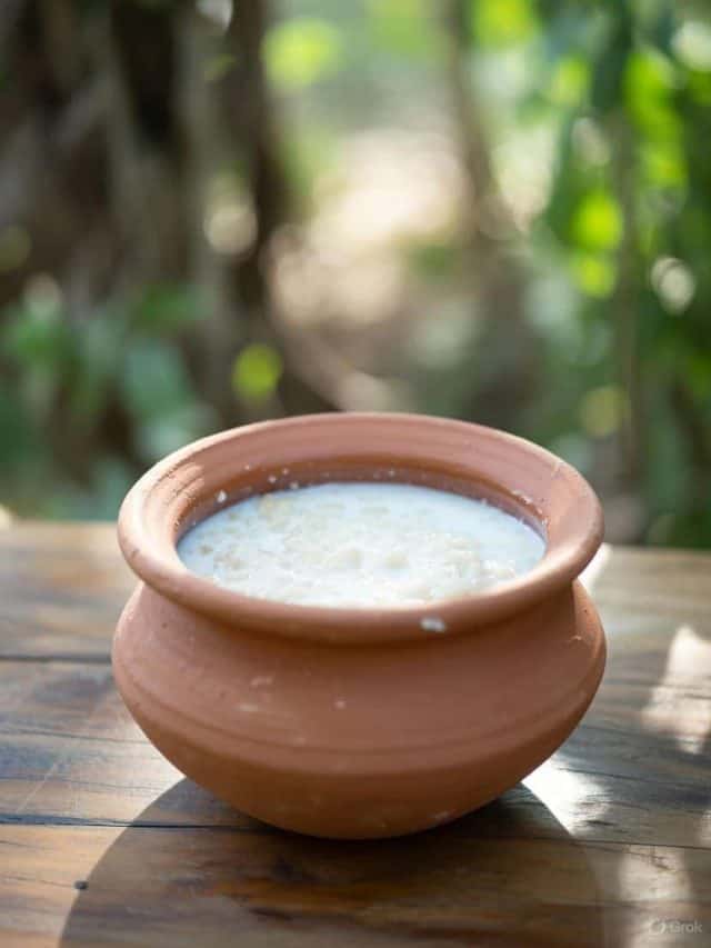 Rice & shine in the morning: benefits of fermented rice & how to make it